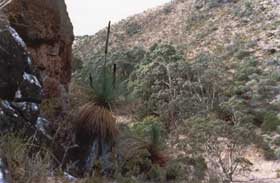 Saunders Gorge Sanctuary - Hideaway Cottage - Events Australia 1