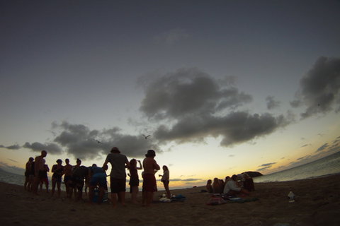 Airlie Court Holiday Units - Accommodation Europe 0