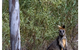 Alivio Tourist Park Canberra - thumb 12