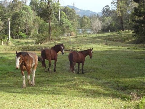 Amamoor Lodge - Tourism Bookings 2