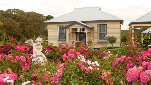 Amor Of Red Hill - Events Australia 0