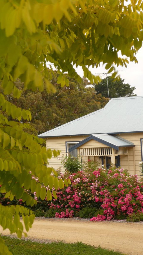 Amor Of Red Hill - Events Australia 5