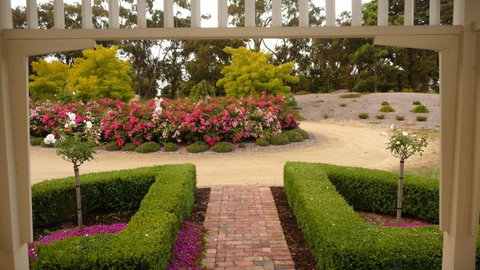 Amor Of Red Hill - Events Australia 6