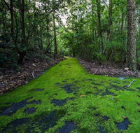 Booderee National Park Green Patch Camping Area - Events Australia