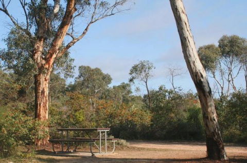 Drummonds Camp At Avon Valley National Park - Events Australia 0