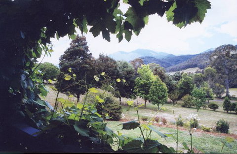 Springfield Cottage Bed & Breakfast - Events Australia 1