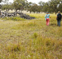 Carnarvon National Park camping - Events Australia
