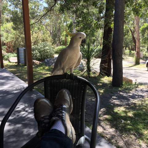 Gang Gang Villas - Tourism Bookings 2