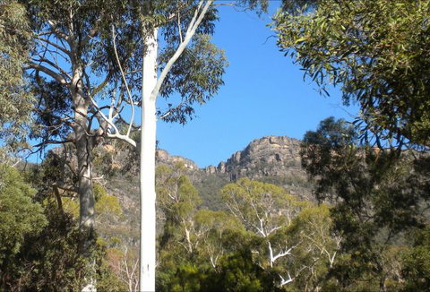 Gang Gang Villas - Tourism Bookings 4