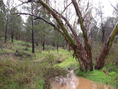 Beetaloo Grove - Events Australia 2