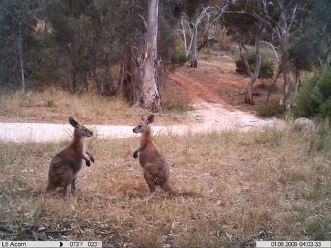 Beetaloo Grove - Events Australia 3