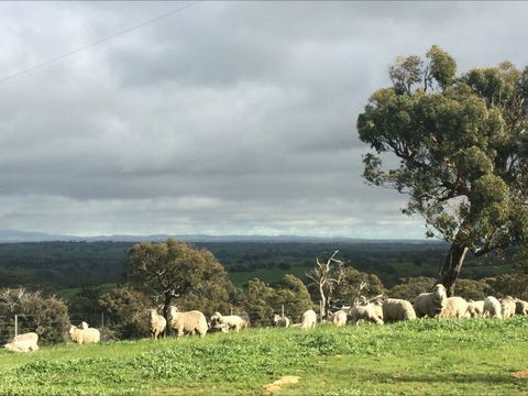 Heathcote Views Bed & Breakfast - Tourism Bookings 5