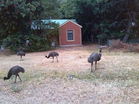 Boronia Peak Villas - Tourism Bookings 5