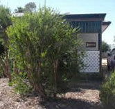 Loxton Smiffy's Bed And Breakfast Coral Street - Events Australia