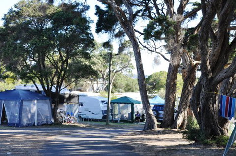 Queenscliff Tourist Park - Events Australia 2