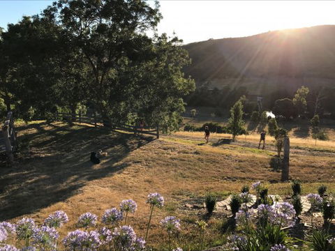 Shearer's Hill - Luxury Farm Stay - Accommodation Europe 9