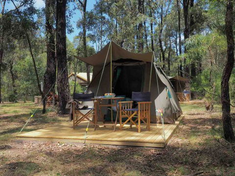 Tall Trees Camping On The Great Ocean Road - Tourism Bookings 0
