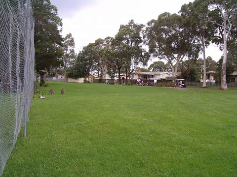 Waratah Cottage - Events Australia 8