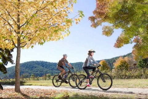 Bright Freeburgh Caravan Park - Events Australia 1