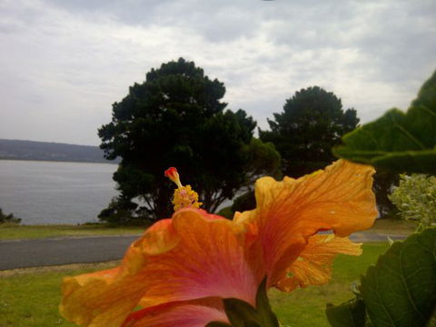 Eden Oceanview - Events Australia 1