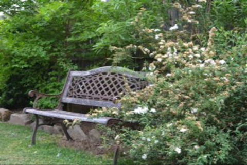 Garden Cottage B And B - Tourism Bookings 4
