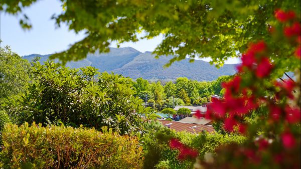 Abbeyard VIC Events Australia