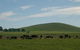 Heatherington Cottage - thumb 8