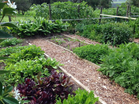 Jamberoo Valley Farm - Events Australia 3