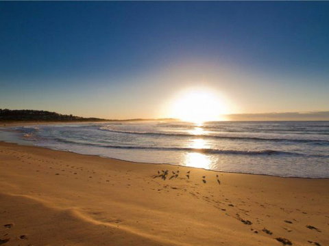 Oaks Apartment At Dee Why Beach - Events Australia 0