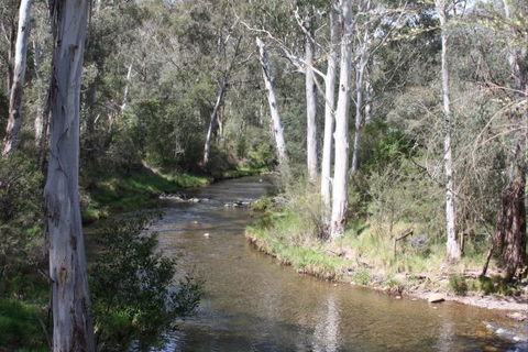 Stockyard Creek - Events Australia 2