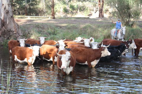 Stockyard Creek - Events Australia 3