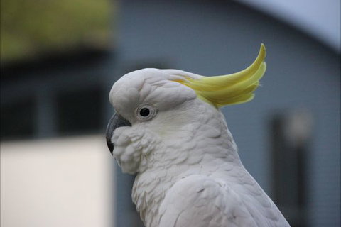 Sundial Holiday Apartments - Tourism Bookings 1