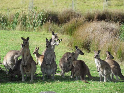 Tanja Lagoon Camp - Events Australia 6