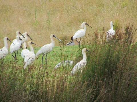 Tanja Lagoon Camp - Events Australia 9