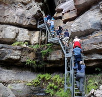 Takarakka Bush Resort Carnarvon Gorge - Events Australia