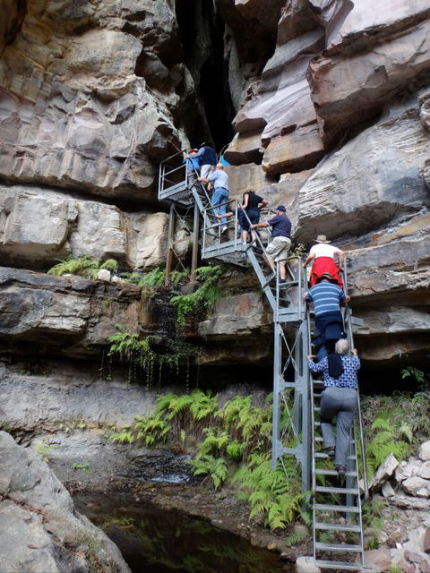 Takarakka Bush Resort Carnarvon Gorge - Tourism Bookings 0