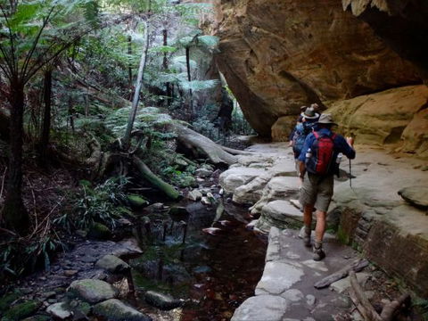 Takarakka Bush Resort Carnarvon Gorge - Tourism Bookings 6