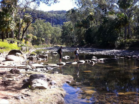 Takarakka Bush Resort Carnarvon Gorge - Tourism Bookings 9