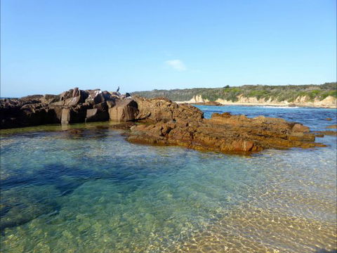 Tilba Coastal Retreat - Tourism Bookings 6
