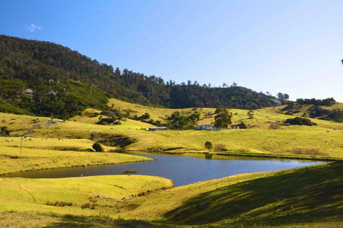 Tilba Coastal Retreat - Tourism Bookings 7