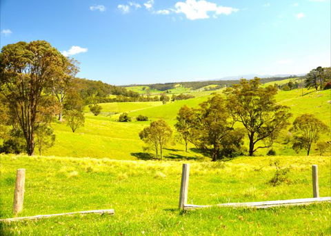 Tilba Coastal Retreat - Tourism Bookings 9