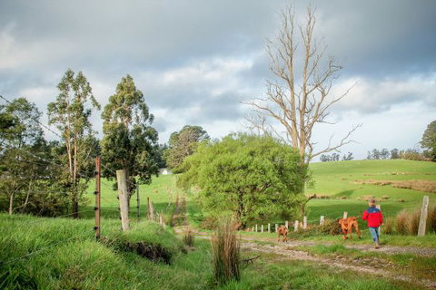 Wines For Joanie Cottage - Events Australia 6