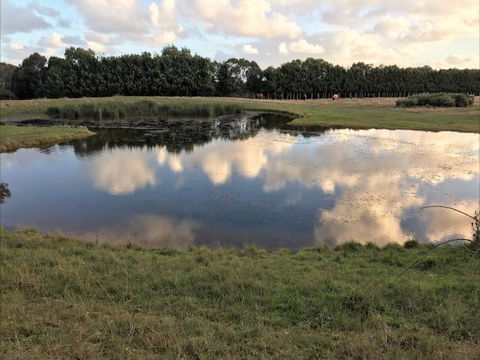 Woodbyne Resort - Tourism Bookings 2