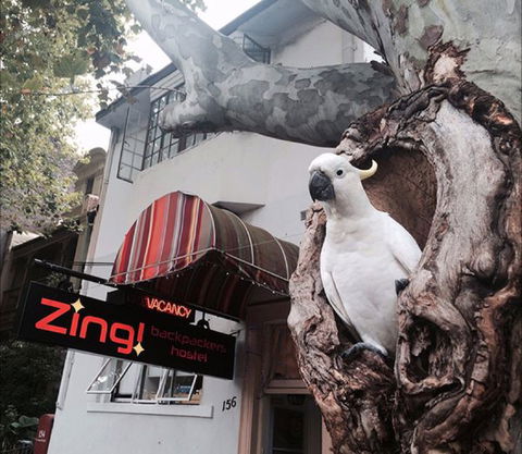 Zing! Backpackers Hostel - Events Australia 0