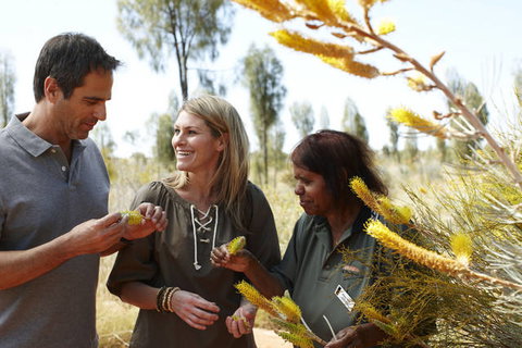 Ayers Rock Campground - Tourism Bookings 2