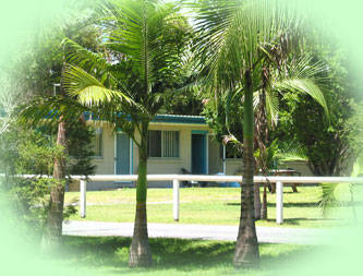 Belongil Fields - Tourism Bookings 2