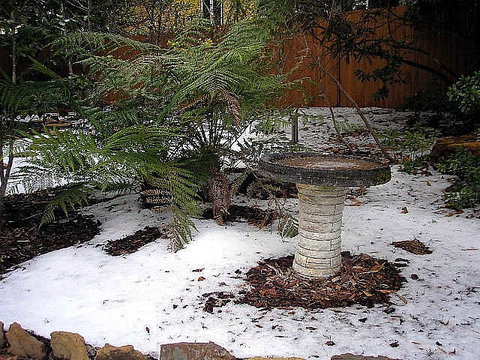 Brantwood Cottage - Events Australia 2