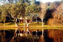 Bushy Lake Chalets - Tourism Bookings 1
