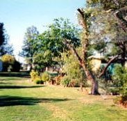 Condamine River Caravan Park - Events Australia