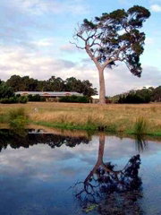 Craythorne Country House Metricup - Events Australia 4